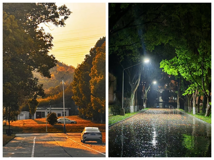 雨中，24 级大数据与会计二班，丁雪_副本.jpg